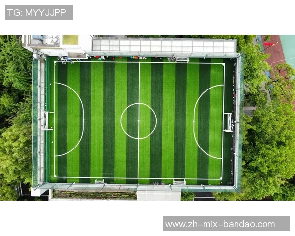 足球场养护全攻略提升草坪质量与比赛体验的有效方法与技巧